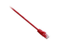 V7 Cat6 UTP 2m Red (V7E2C6U-02M-RDS)